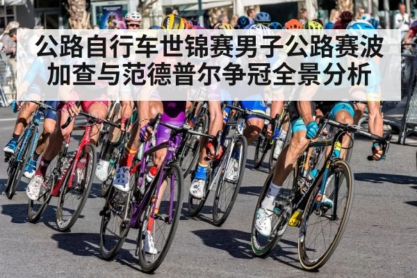 公路自行车世锦赛男子公路赛波加查与范德普尔争冠全景分析