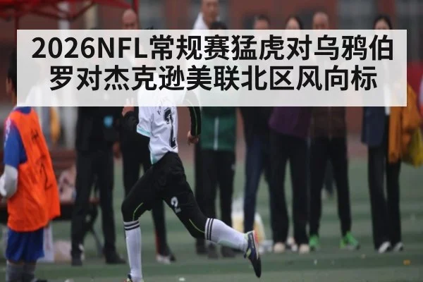 2026NFL常规赛猛虎对乌鸦伯罗对杰克逊美联北区风向标